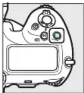 NIKON D6 - ปัลม - 2