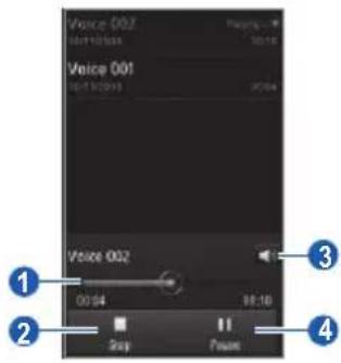 Voice 002 00:16:55:55 Voice 001 16:17:20:33 Voice 002 00:04 98:10 Gray Power