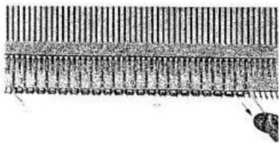 Empisal Knitmaster 321 - KNITTING THE 1 BY 1 DOUBLE WELT - 6