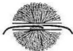Empisal Knitmaster 321 - POM PONS - 4