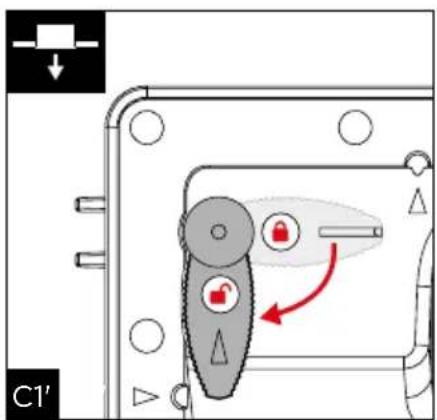 C1'