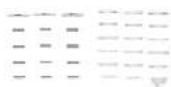 TRENDNET TV-IP1319PI - Package Contents - 2