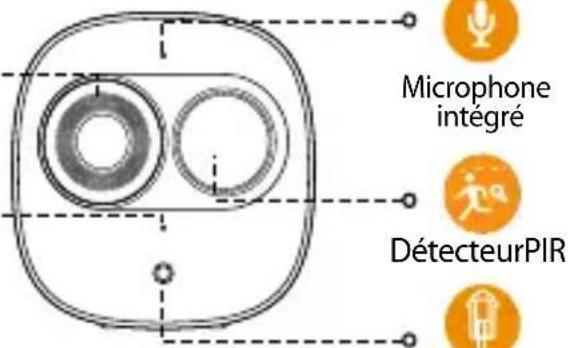Microphone intégré DétecteurPIR