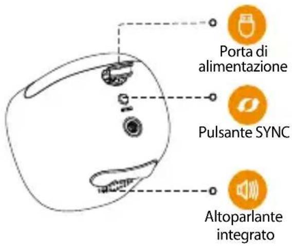 Porta di alimentazione Pulsante SYNC Altoparlante integrato