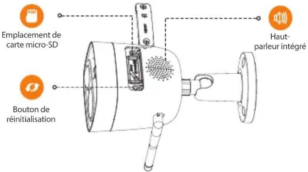 Emplacement de carte micro-SD Bouton de réinitialisation Haut- parleur intégré