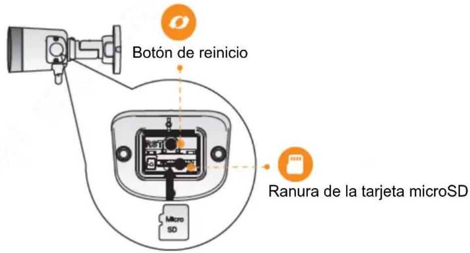 Botón de reinicio Ranura de la tarjeta microSD Micro SD