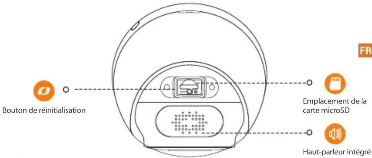 Bouton de réinitialisation Emplacement de la carte microSD Haut-parleur intégré
