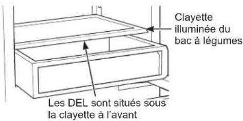 Clayette illuminée du bac à légumes Les DEL sont situés sous la clayette à l'avant
