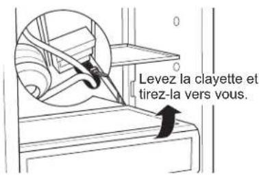 Levez la clayette et tirez-la vers vous.