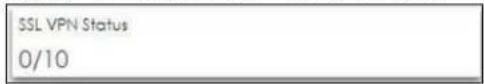 SSL VPN Status 0/10