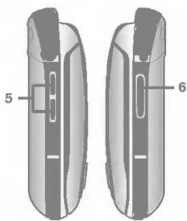 5 6