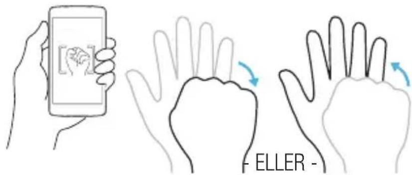 ELLER -