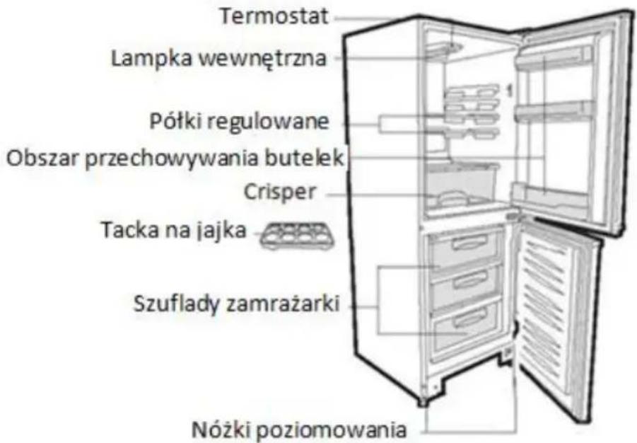 Termostat Lampka wewnętrzna Półki regulowane Obszar przechowywania butelek Crisper Tacka na jajka Szuflady zamrażarki Nóżki poziomowania