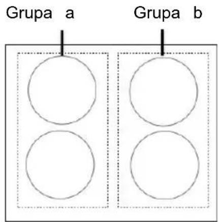 Grupa a Grupa b