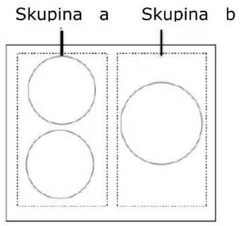 Skupina a Skupina b