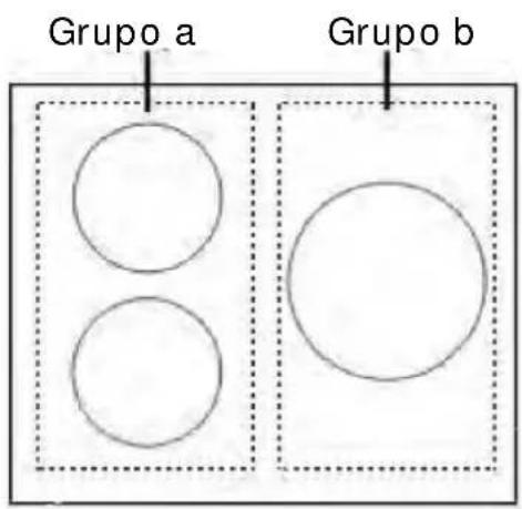 Grupo a Grupo b