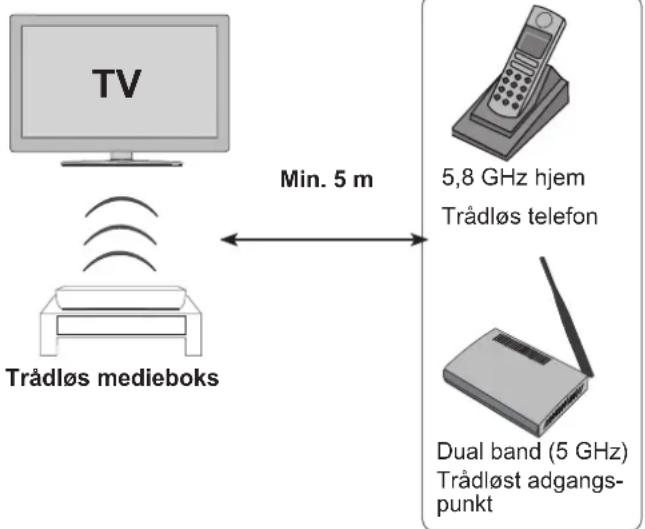 LG Wireless Media Box AN-WL100 - MODTAGELSESPROBLEMER PGA. INTERFERENS - 1