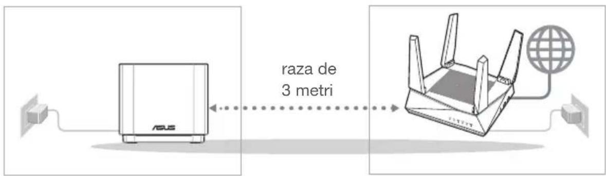 raza de 3 metri