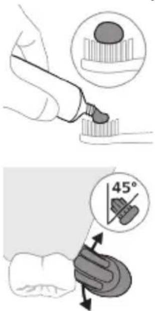 PHILIPS Sonicare for Kids Connected HX6352 - Pusseinstruksjoner - 1