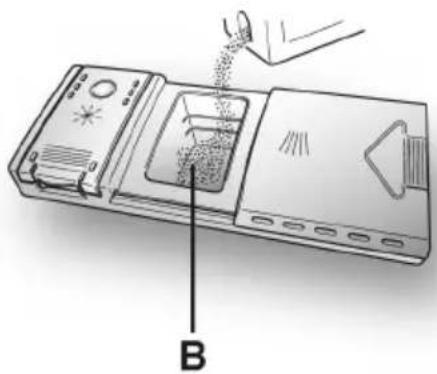 B