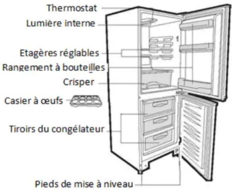 Thermostat Lumière interne Etagères réglables Rangement à bouteilles Crisper Casier à œufs Tiroirs du congélateur Pieds de mise à niveau