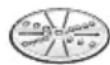 BOSCH MCM3PM386 - Vändbar riv- och strimmelskiva – grov / fin - 1
