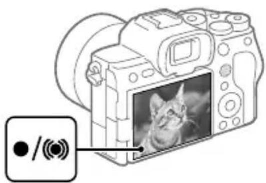 SONY Alpha A7S III - Premere a metà il pulsante di scatto per mettere a fuoco. - 1