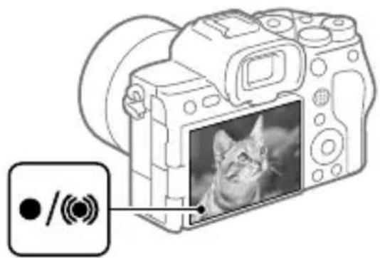 SONY Alpha A7S III - Indstil tilstandsknappen til AUTO (Autotilstand). - 2