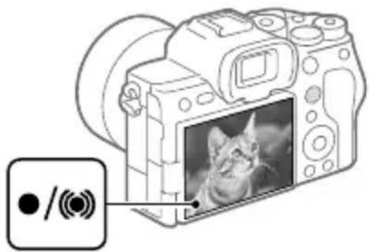 SONY Alpha A7S III - Установите диск режимов в AUTO (Режим Авто). - 2
