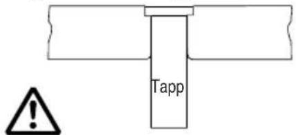 Tapp