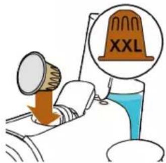 XXL