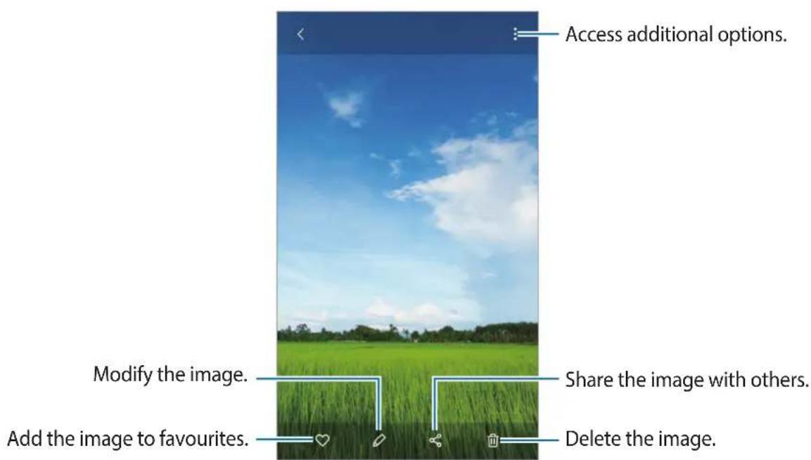 Access additional options. Modify the image. Add the image to favourites. Share the image with others. Delete the image.