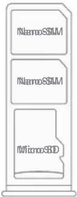 NlamoSSMM NlamoSSMM MicroSDD