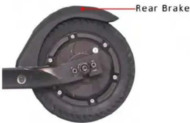 Rear Brake