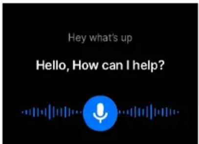Hey what's up Hello, How can I help?