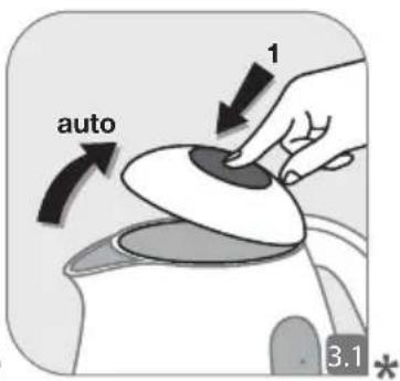 auto 1 3.1*