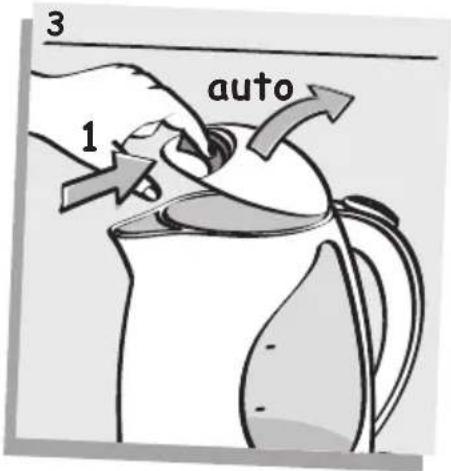 3 1 auto