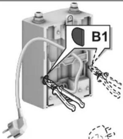B1