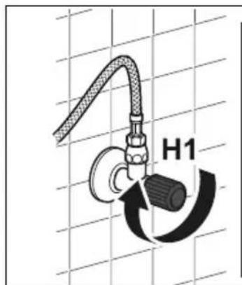 H1