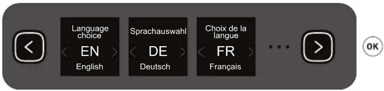 Language choice EN English Sprachauswahl DE Deutsch Choix de la langue FR Français ... OK