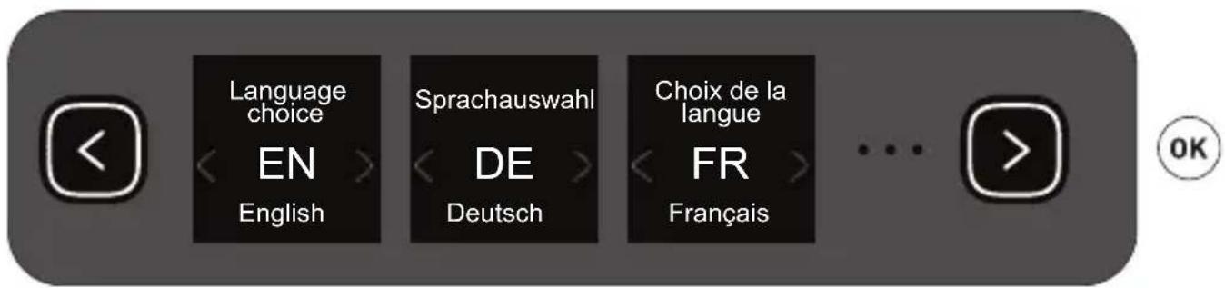 Language choice EN English Sprachauswahl DE Deutsch Choix de la langue FR Français ... OK