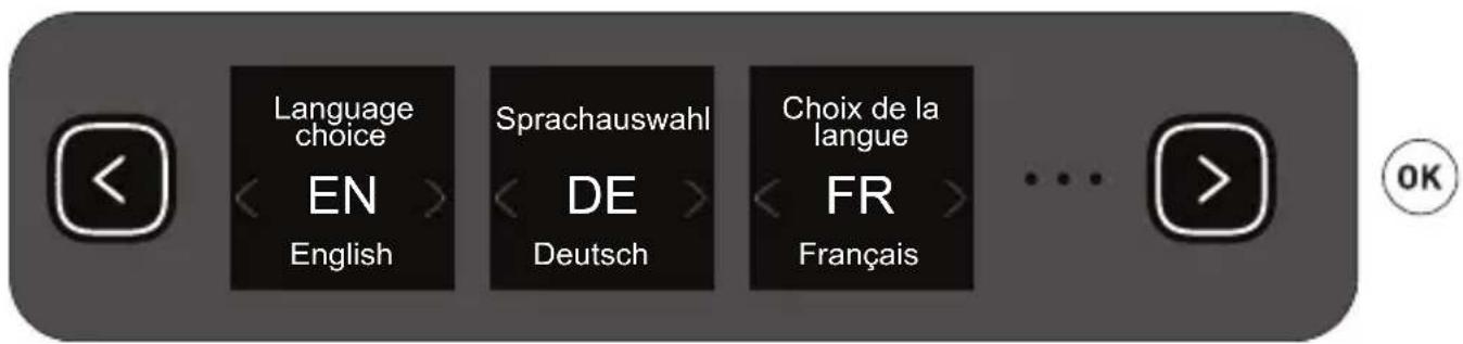 Language choice EN English Sprachauswahl DE Deutsch Choix de la langue FR Français ... OK