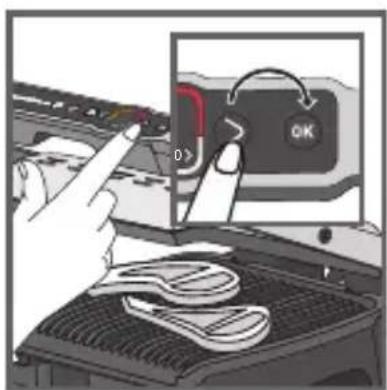 Diagram showing a hand pressing a button labeled 'OK' with a red arrow, next to a photo of a food item on a grater.