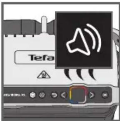 Tefa