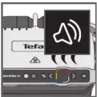 Tefa