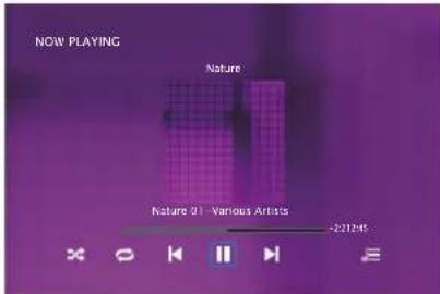 NOW PLAYING Nature Nature 01 - Various Artists +221245