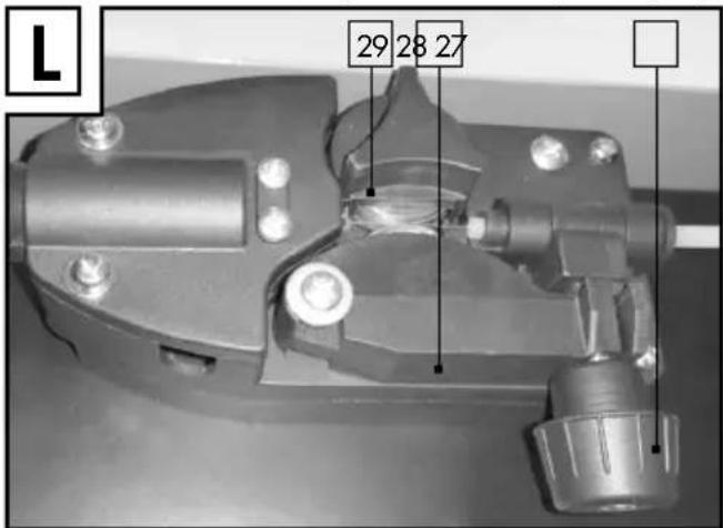 L 29 28 27