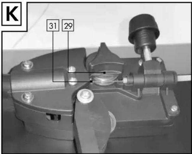 K 31 29
