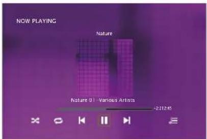 NOW PLAYING Nature Nature 01 - Various Artists -221245