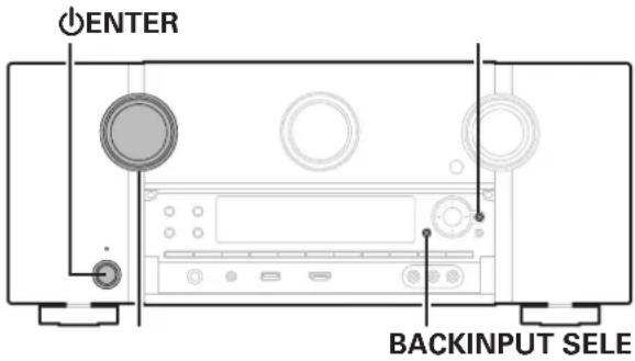 ENTER BACKINPUT SELE
